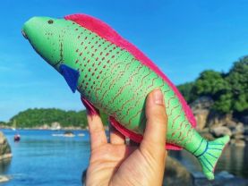 parrotfish toy