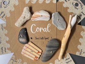 Beachcomber Buttons Coral | Shells | Stones | Shark Teeth Roots | Beach Rocks | Abalone | Driftwood | Sand | Seashore